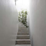 Takeshi Hosaka | Love House | Yokohama, Kanagawa, Japan